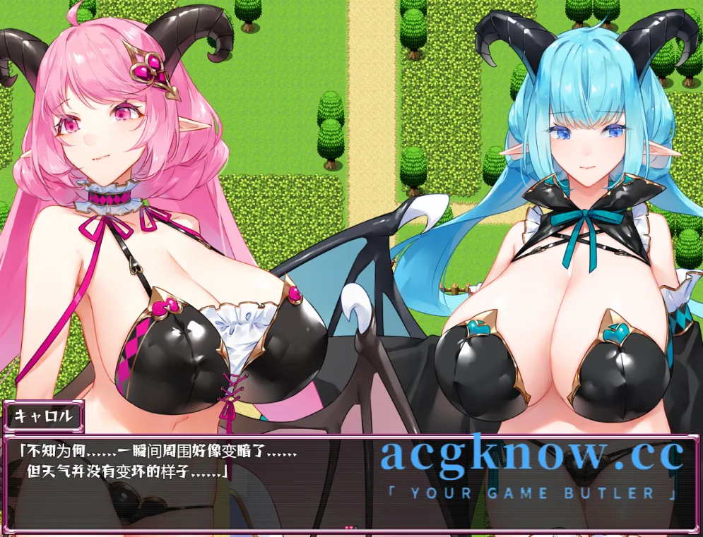 图片[4]-[PC+安卓][精品RPG/汉化] 镜中魅魔与恶魔之种 汉化版[5G]-acgknow
