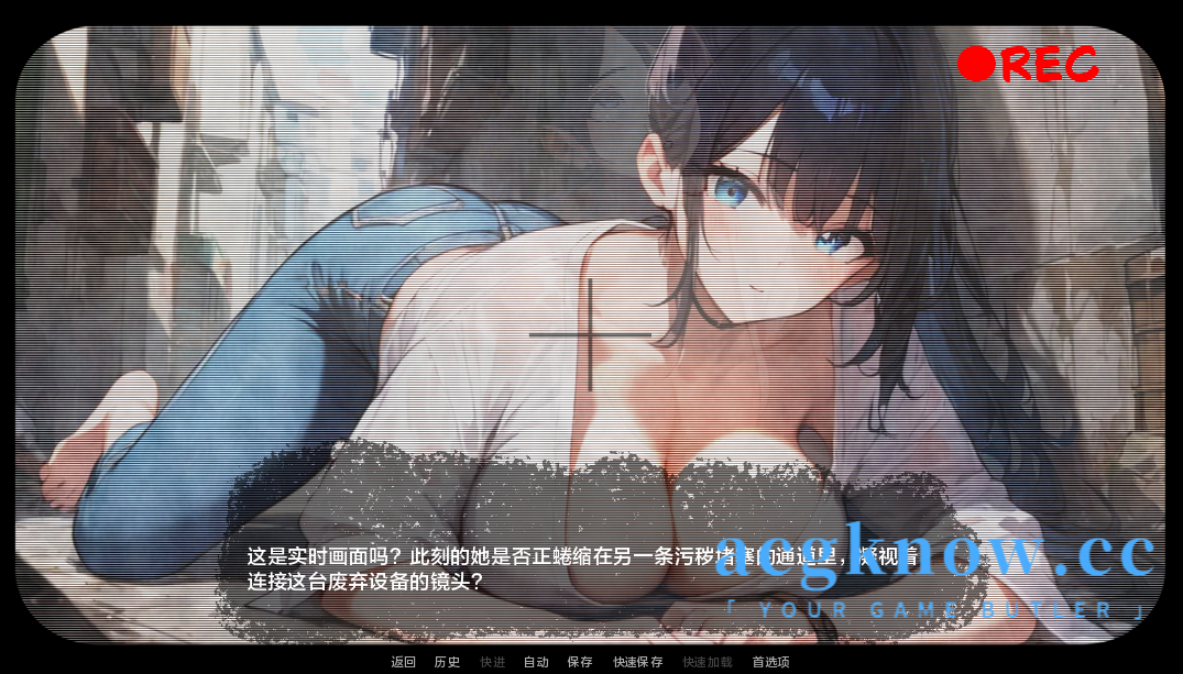 图片[2]-[PC+安卓][日系SLG/汉化] 巷道摄像机 [v1.0] Alleycam [163M]-acgknow