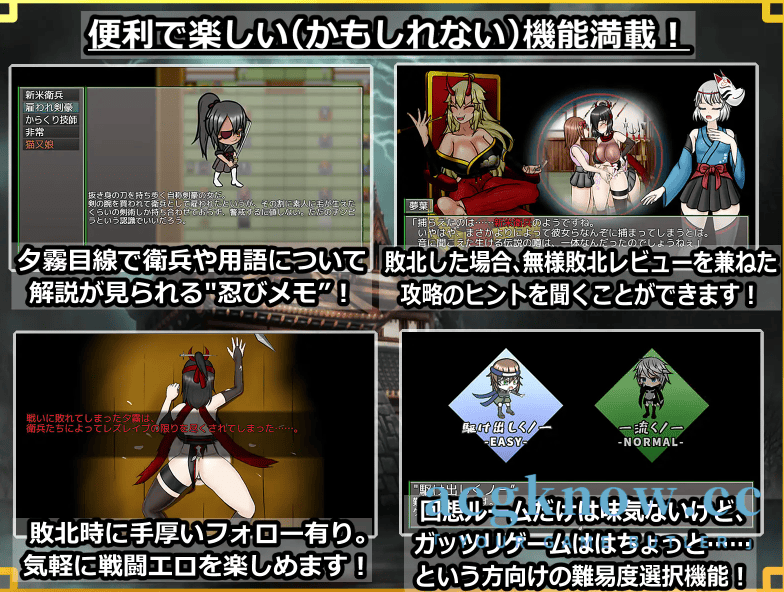 图片[5]-[PC+安卓] [日系RPG/汉化] 潜入！百合城堡～被盯上的传奇双性女忍者 汉化版 [1.82G]-acgknow