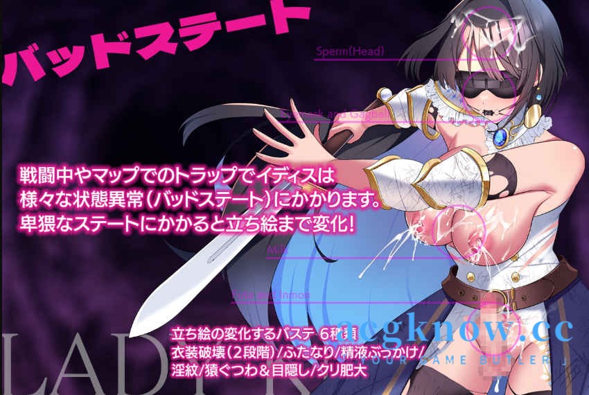 图片[3]-[PC+安卓] [精品RPG/汉化/动态] 女骑士 -淫魔迷宫- 汉化版 [994M]-acgknow